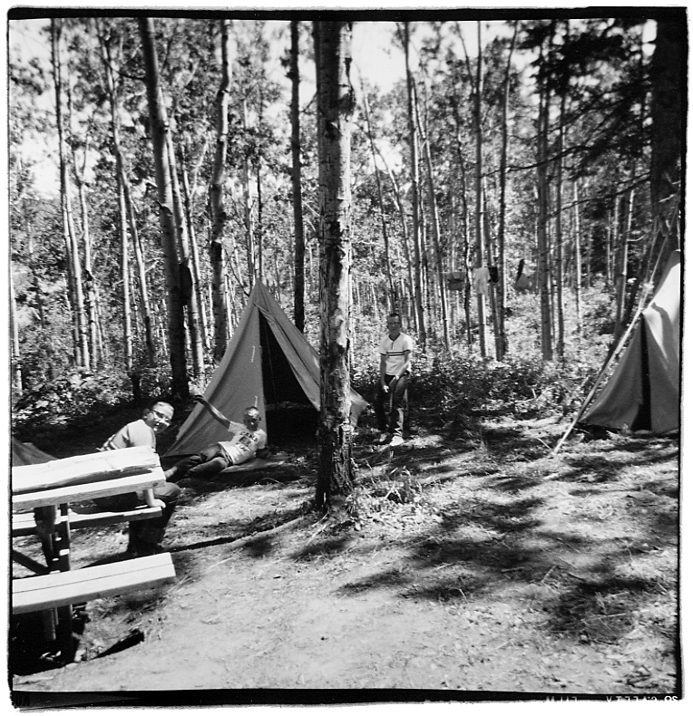 camp napi