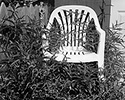 overgrown chair