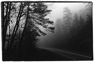 Ozark Nat. Forest, NW Arkansas