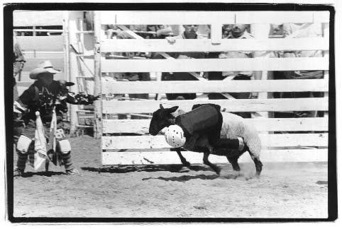 Cal Farley's Boys Ranch Rodeo