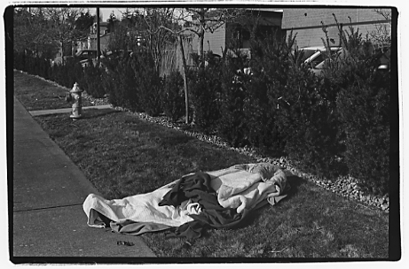 Whidbey Island People and Places